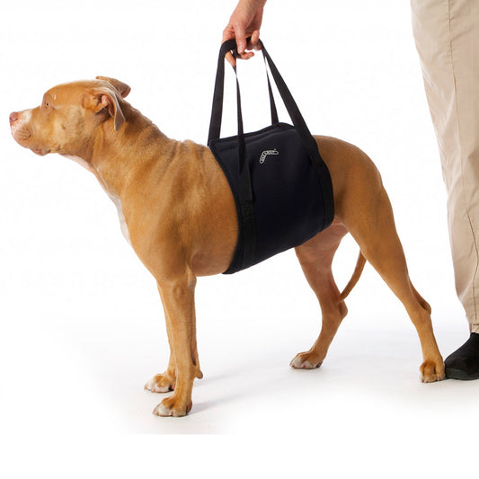 WalkAbout Pet Belly Sling